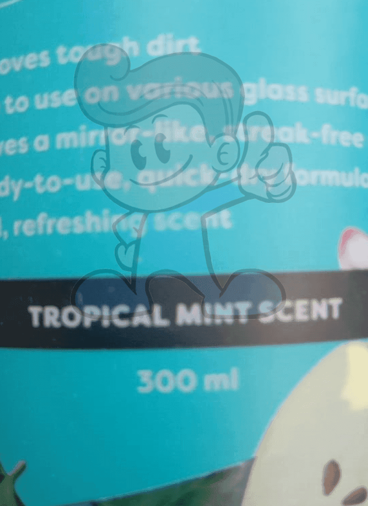 Cheers Glass Cleaner Tropical Mint Scent (2 X 300 Ml) Household Supplies