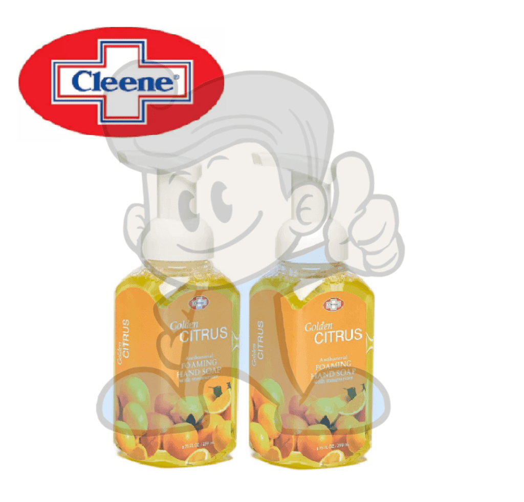 Cleene Golden Citrus Foaming Hand Soap (2 X 259Ml) Beauty