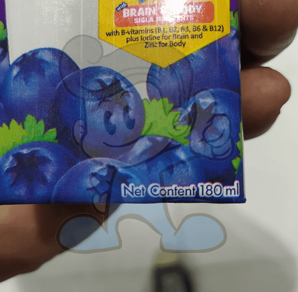 Dutch Mill Uht Yogurt Drink Blueberry (16 X 180Ml) Groceries
