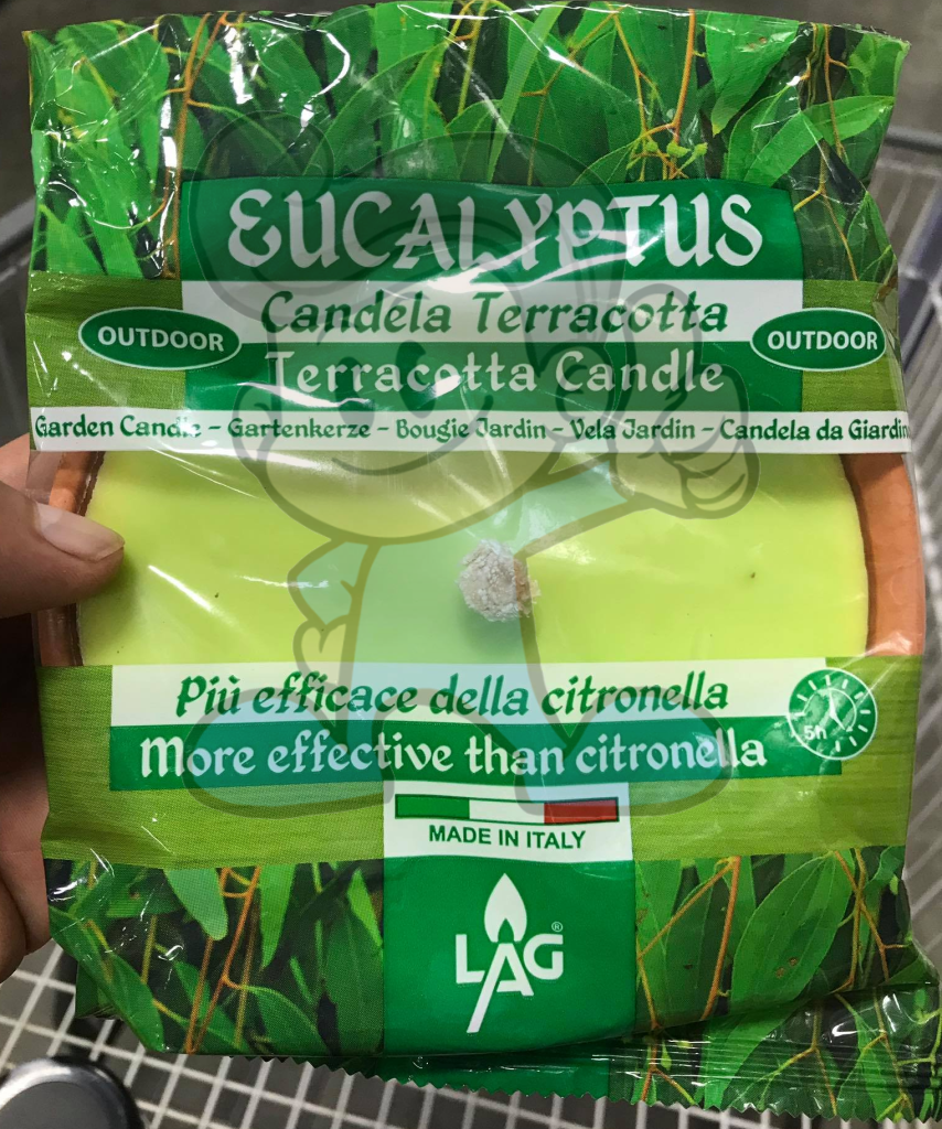 Lag Eucalyptus Outdoor Terracotta Candle Lighting & Décor