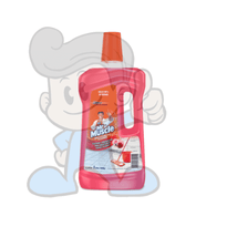 Scj Mr Muscle All Purpose Cleaner I Love You (2 X 1L) Household Supplies