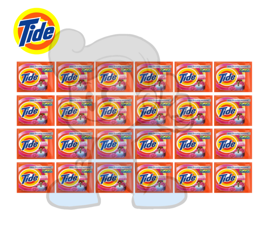 Tide Perfect Clean Powder Detergent Garden Bloom (24 X 74G) Household Supplies