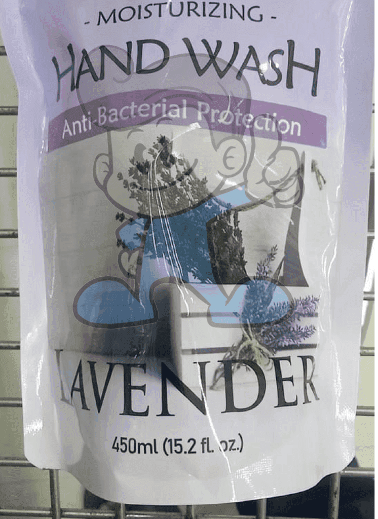 Zen Garden Moisturizing Anti-Bacterial Protection Hand Wash Lavender Scent (2 X 450 Ml) Beauty